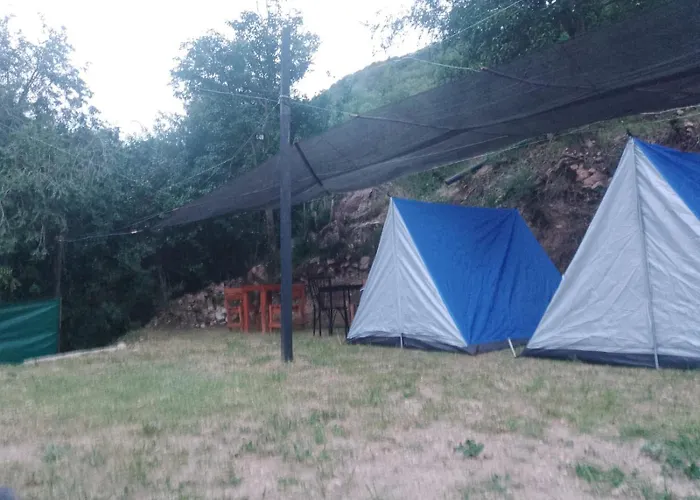 Campamento Monarcas