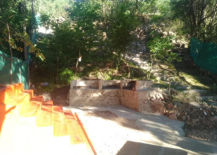 Campamento Monarcas